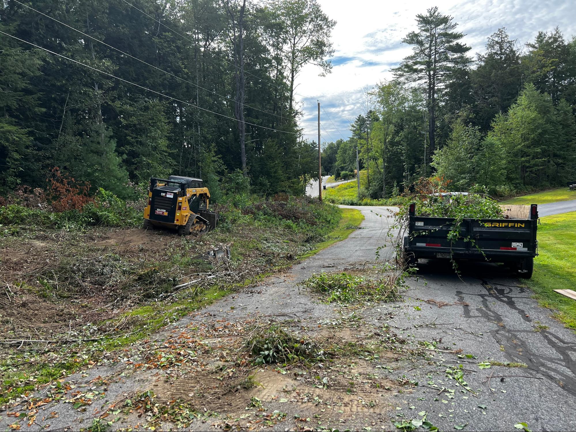 Land Clearing project